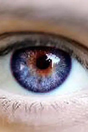 ปกนิยาย THE EYE-นัยน์ตาพยาบาท