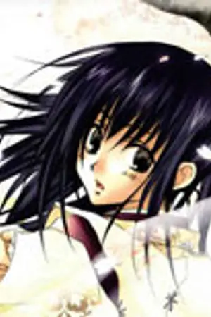 ปกนิยาย (แปลการ์ตูน Yaoi) Ouchou Haru no Yoi no Romance