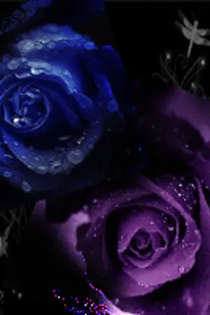 ปกนิยาย BR