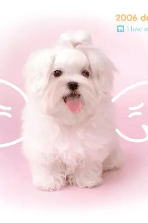 ปกนิยาย เล่ห์รัก....กลกามเทพ