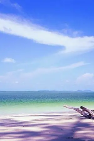 ปกนิยาย นิจนิรันดร์...ฉันรักเธอ(รักแรกฯ) (Yuri)