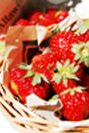 ปกนิยาย HANHYUK รักหวานปนขมของนายมังกรกับเจ้าลูกเจี๊ยบ