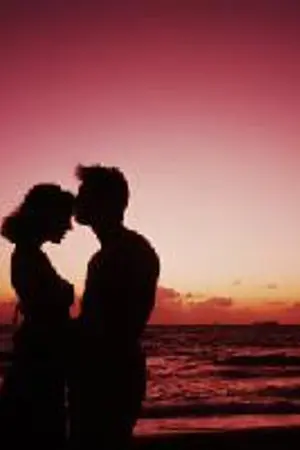 ปกนิยาย Canon in D บทเพลงของสองเรา