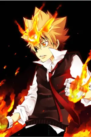 ปกนิยาย {Reborn} Good bye Sawada Tsunayoshi {Spacail Part}1 Year ago