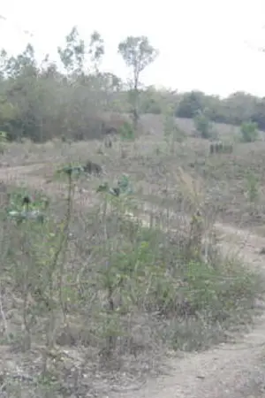 ปกนิยาย แผนที่หัวใจ  :  A road to your love