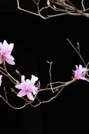 ปกนิยาย ทะเลเรือนใจ