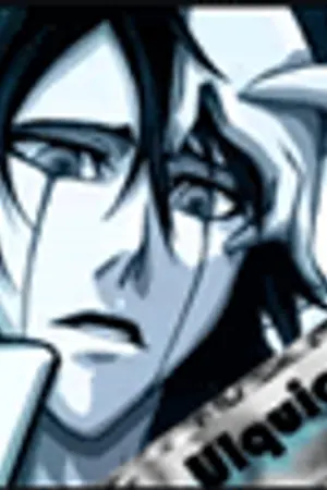 ปกนิยาย [fic bleach]ulquiXhime-คู่กรรม