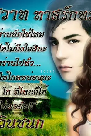 ปกนิยาย