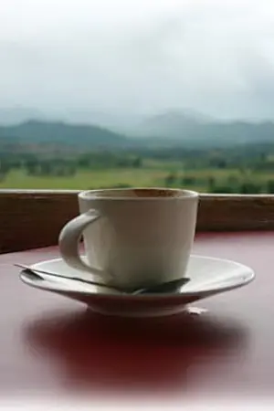 ปกนิยาย Emo Girl ป่วนรักหวานใส รักยัยอีโม