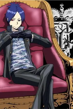 ปกนิยาย Fic reborn 10069 ภาพลวงตา (Yaoi)