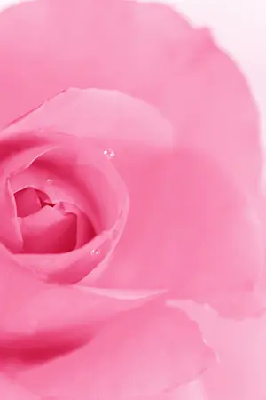 ปกนิยาย ห้องเก็บของและบทเรียน