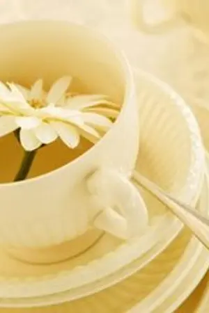 ปกนิยาย [Fic SJ+SNSD]My Love Story ฉันจะรักเธออย่างนี้ ตลอดไป