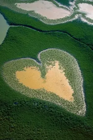 ปกนิยาย คลังเก็บนิยายบทความฟิคแนว(Yaoi)