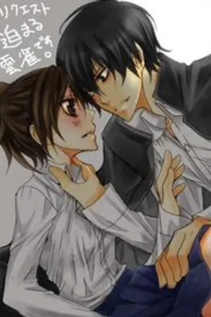 ปกนิยาย รักอันตรายของยัยฮารุFic reborn normal[1886]