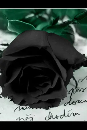 ปกนิยาย [Reborn fiction] Angelique anime school รับสมัครนักเรียน