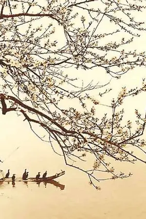 ปกนิยาย [ KiHae KyuMin KangTeuk ]  芸者 Geisha .... จอมใจจ้าวกษัตริย์