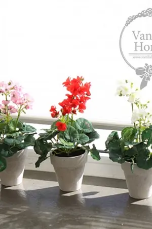 ปกนิยาย PABO!!! Banner Shop