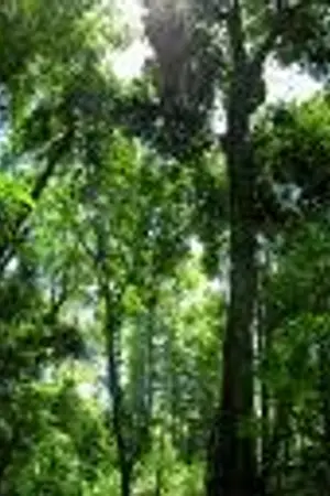 ปกนิยาย Over Soul : War of Land