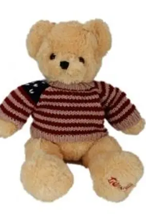 ปกนิยาย อาชีพที่มีรายได้ต่ำสุด ด๊อกเตอร์หมีรายงาน