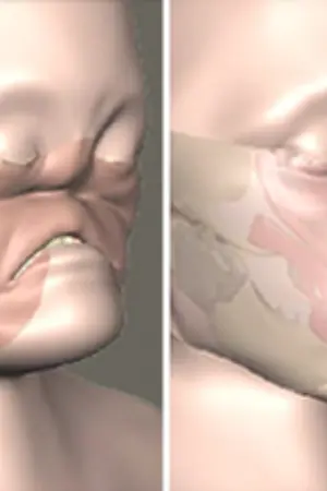 ปกนิยาย การผ่าตัดเปลี่ยนใบหน้า คุณกล้าลองหรือไม่ หมอไทยก็ทำได้