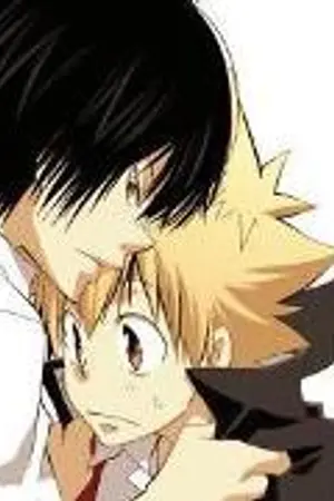 ปกนิยาย [Fic Reborn] Happy Birth Day ~HiBaRi Chan~ (1827) [Yaoi]