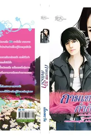 ปกนิยาย กามเทพกำกับรัก