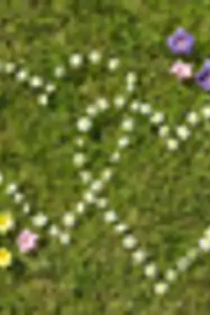 ปกนิยาย Love Company บริษัทรับจ้าง(รัก)(ไม่)จำกัด