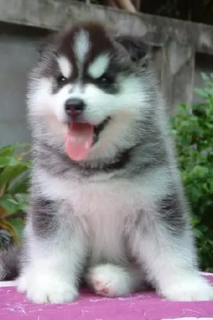 ปกนิยาย DON'T ห้ามเข้า!!!