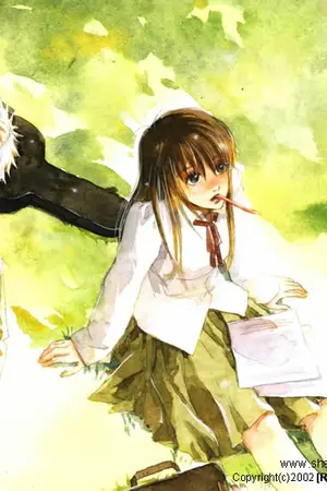 ปกนิยาย Music of love เมเจอร์สื่อรัก