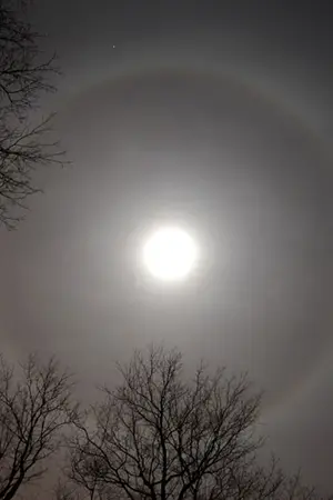 ปกนิยาย พระจันทร์ตกน้ำ