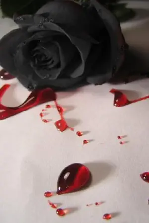 ปกนิยาย Fic ReBorn ช่วงชิงใจเมฆา 5918