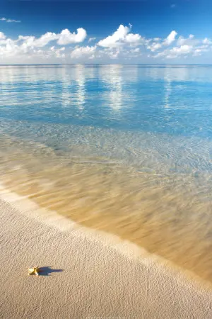 ปกนิยาย แปลเพลงตามใจฉัน  Lyric Translation with Me