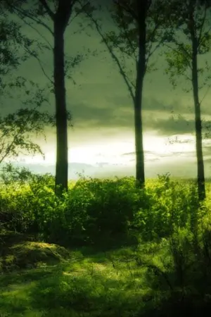 ปกนิยาย โลกพิสดาร