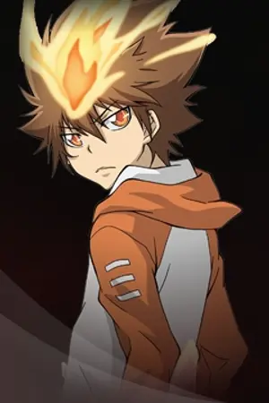 ปกนิยาย katekyo hitman reborn world