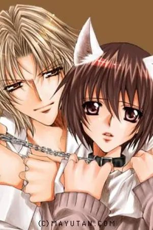 ปกนิยาย นายหล่อตัวพ่อ  สะดุดรัก  ยัยโหด (ตัวแม่)