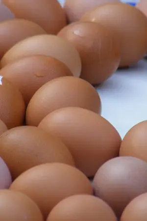 ปกนิยาย ปสก.ของฉัน