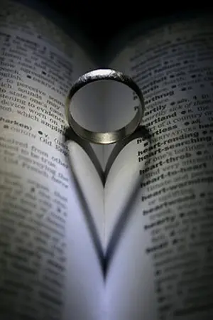 ปกนิยาย FIC แวมไพร์ไลแคนสงครามรักข้ามสายพันธุ์ TAOHO EXO