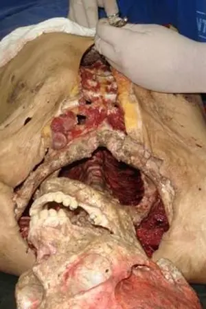 ปกนิยาย Pix ,,, ,ปลาปิรันย่าโหดร้าย ยยย >;;<‏