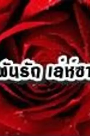 ปกนิยาย