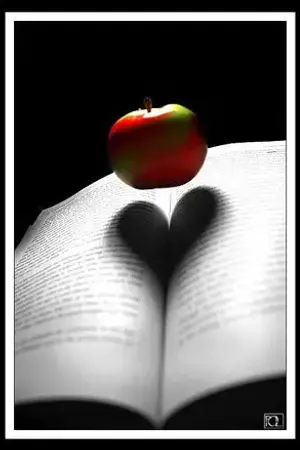 ปกนิยาย สายลมหนาว