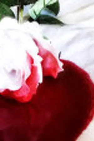 ปกนิยาย The Mirror World