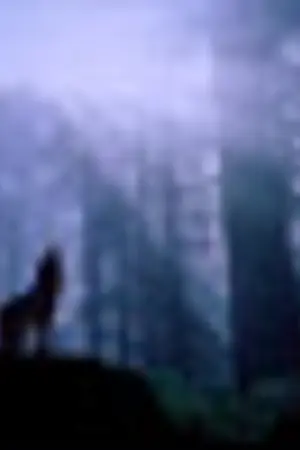 ปกนิยาย [Fic]  Weiss Kreuz  (Kyuhyun x Kibum)