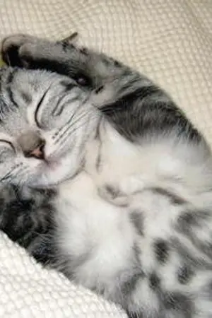 ปกนิยาย เมื่อผู้กล้าบอกว่าข้าจะครองโลก