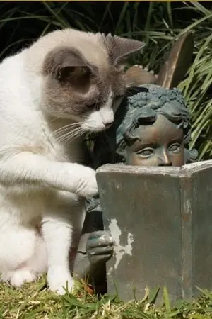 ปกนิยาย เรื่องสั้นขยันเขียน