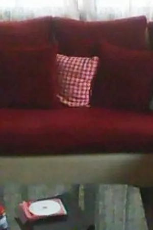 ปกนิยาย วิธิจัดบ้านของฉัน