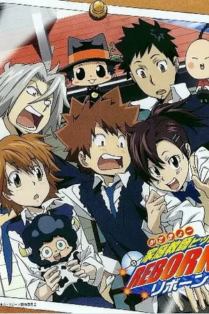 ปกนิยาย Vongola 100%