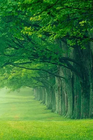 ปกนิยาย ท่วงทำนอง...แห่งสายลม