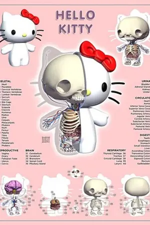 ปกนิยาย เมื่อจับเหล่าตุ๊กตาผู้น่ารัก มาให้เห็นข้างใน