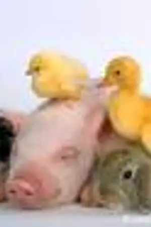 ปกนิยาย กลิ่นความรัก