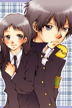 ปกนิยาย Fic Reborn [Normal] Hibari-Iping 1118